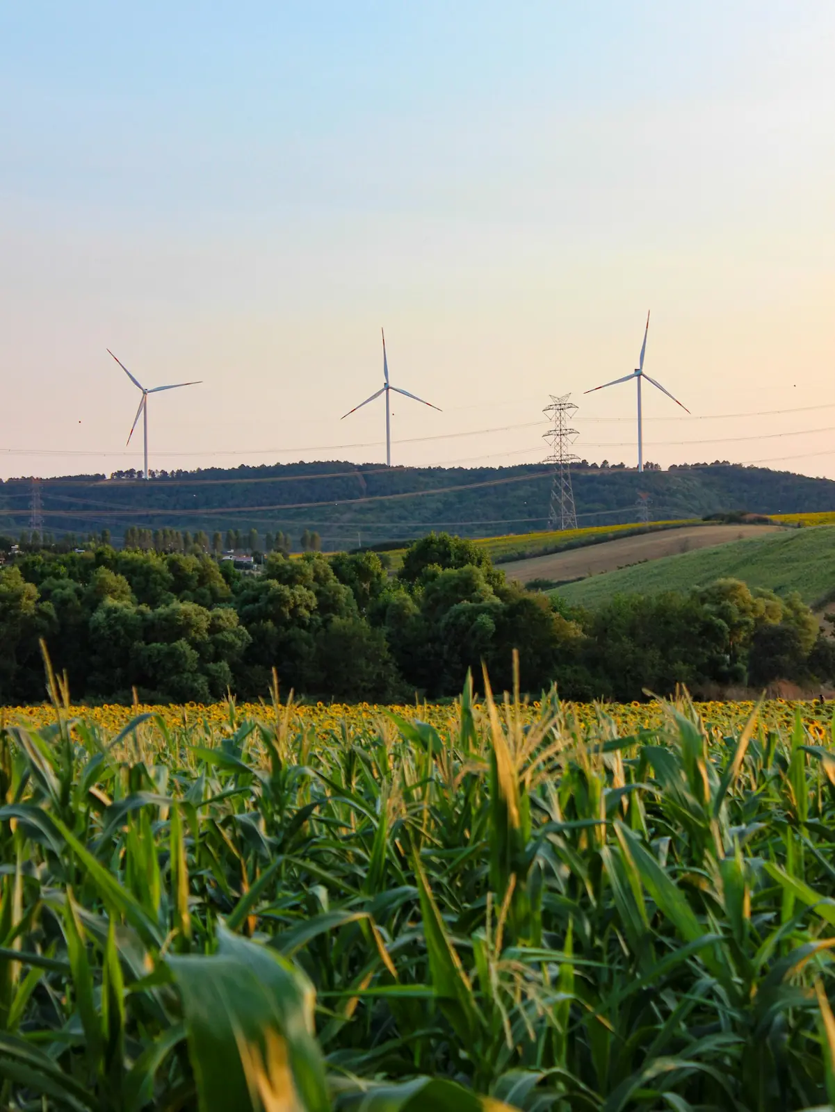 Wind turbines and power lines on hills above a green farm field at dusk