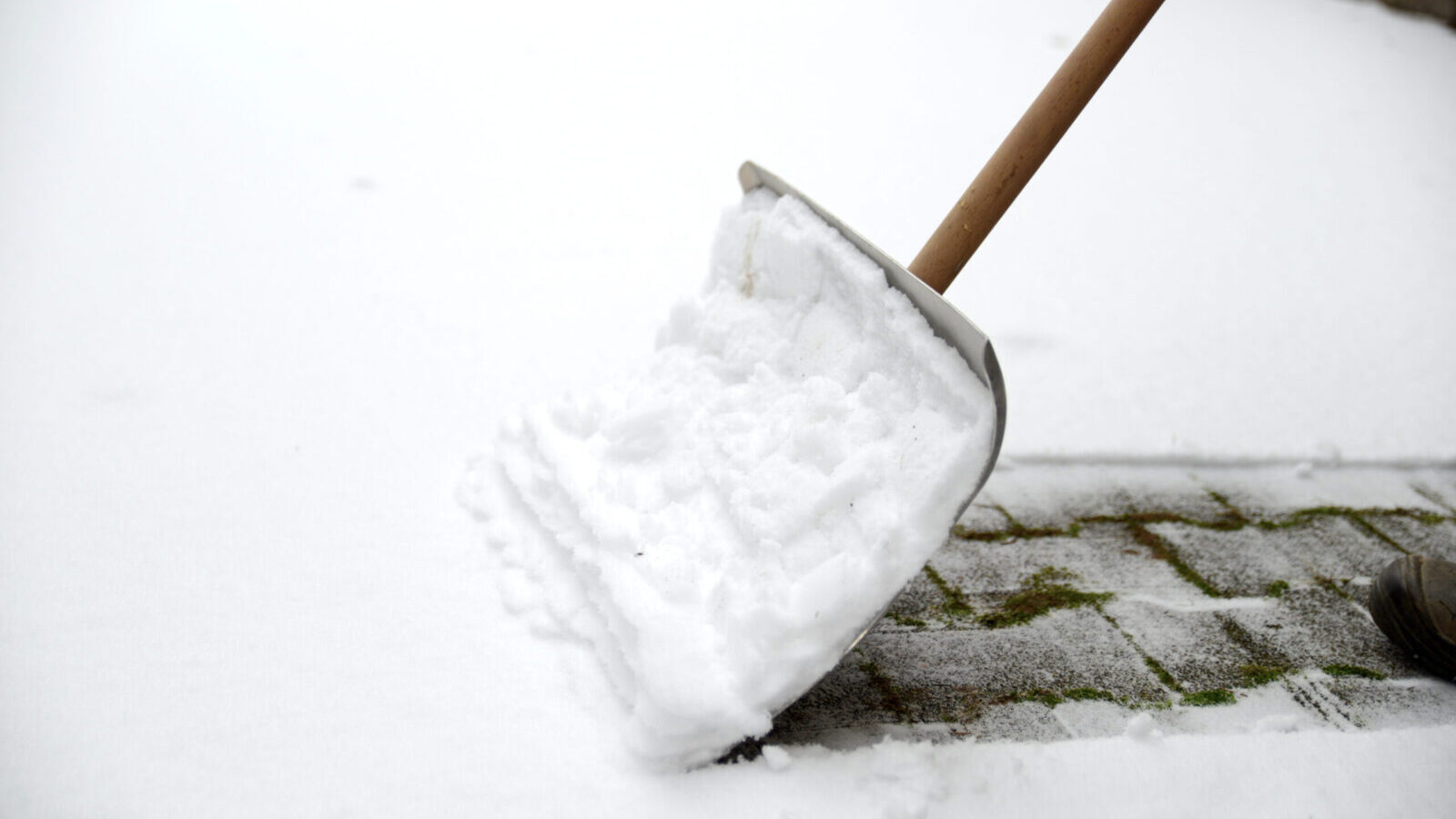 A snow shovel clearing snow from a paved path